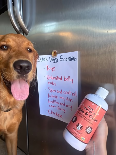 A high-quality image of a dog sitting next to a kitchen fridge with a handwritten note titled 'Isla's Doggy Essentials' listing product benefits.